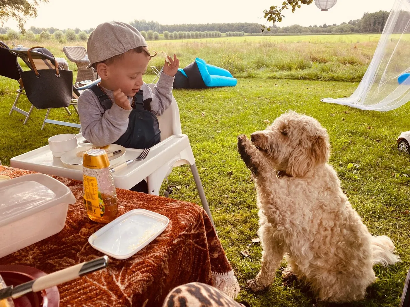 Foto bij: Kamperen met kids en een hond: zo doen wij dat!